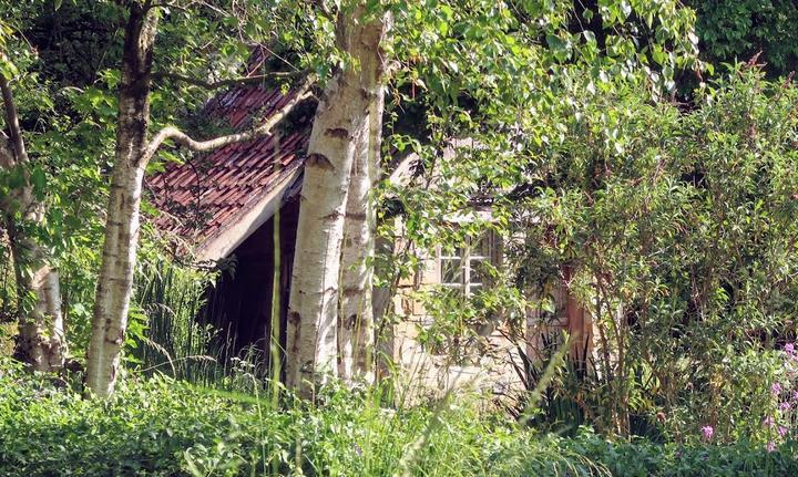 GRÜNWERKSTÄTTEN Garten-Café